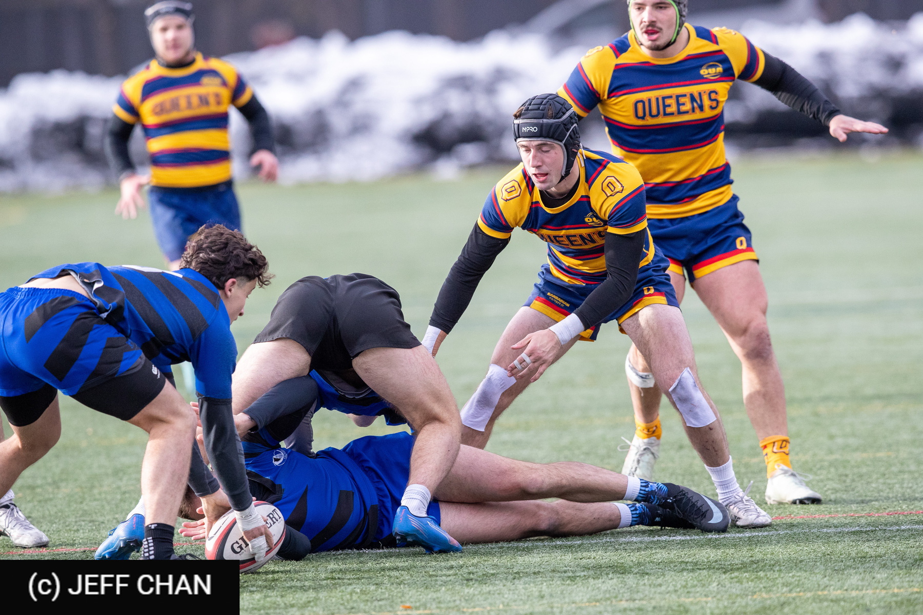  Université de Montréal - Queen's University - Rugby - CANUMENS 2025 - Université de Montréal vs Queen's University - Game#10 by Jeff Chan (#CANUMENS2560) Photo by: Jeff Chan | Siuxy Sports 2025-11-16