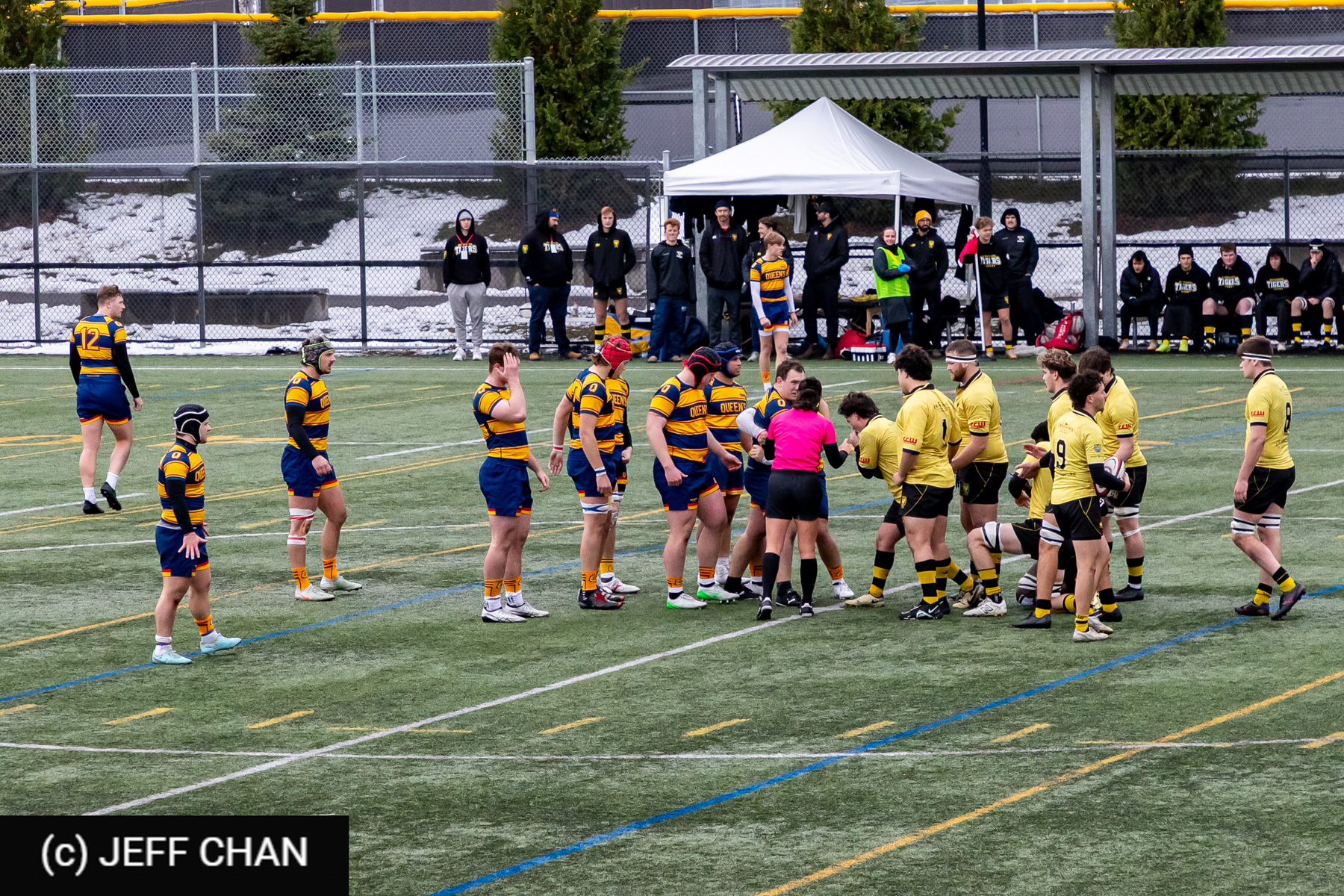  Queen's University - Dalhousie University - Rugby - CANUMENS 2025 - Queen's University vs Dalhousie University - Game#5 by Jeff Chan (#CANUMENS2575) Photo by: Jeff Chan | Siuxy Sports 2025-11-14