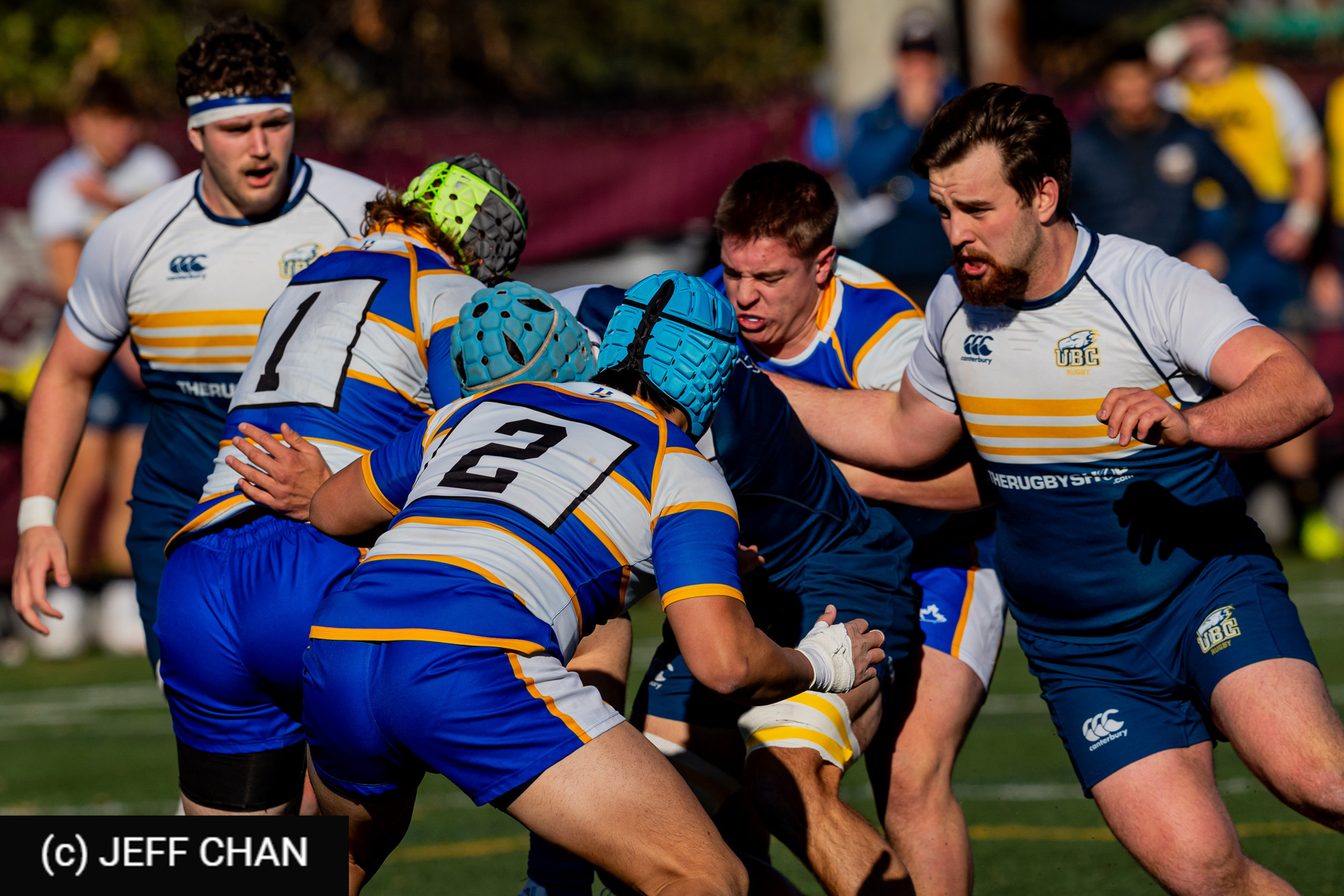  University of British Columbia - University of British Columbia Okanagan - Rugby - CANUMENS 2024 - Qtr final - UBC vs UBCO by Jeff Chan (#CANUMENS2401) Photo by: Jeff Chan | Siuxy Sports 2024-11-13
