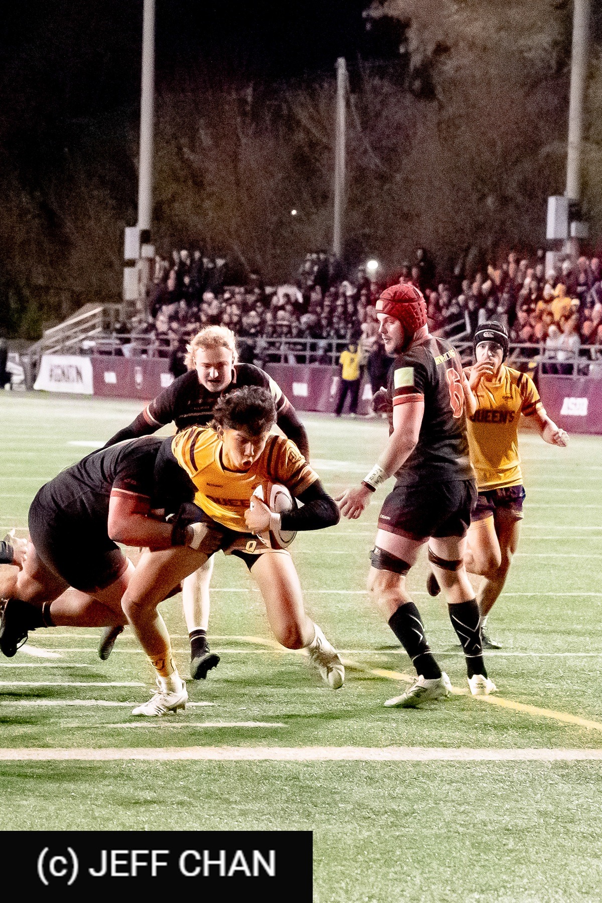  Queen's University - University of Guelph - Rugby - OUA 2024 Queen's vs Guelph (#OUA24QUG15) Photo by: Jeff Chan | Siuxy Sports 2024-11-15