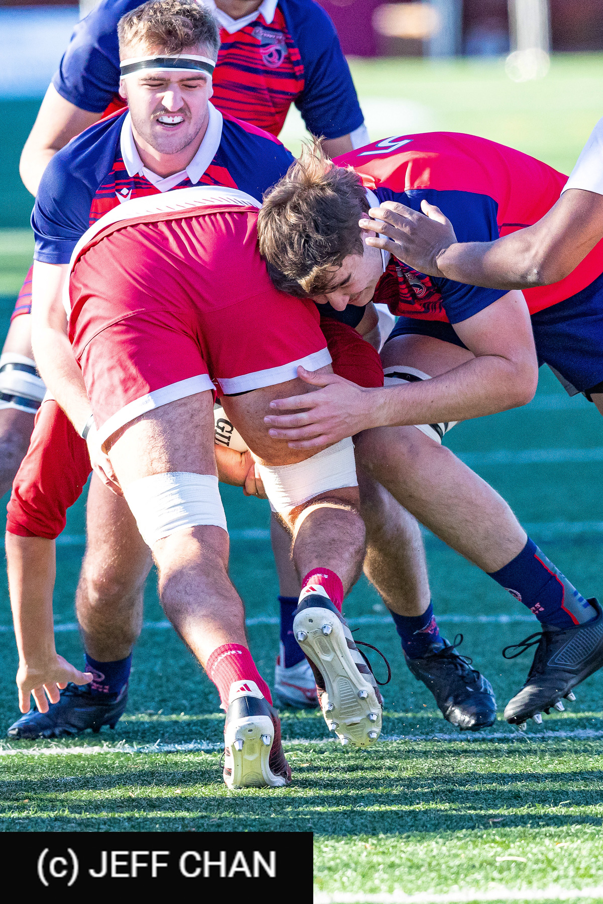  ÉTS (École de technologie supérieure) - Memorial University of Newfoundland - Rugby - CANUMENS 2024 - Qtr final - ETS vs Memorial UN by Jeff Chan (#CANUMENS2402) Photo by: Jeff Chan | Siuxy Sports 2024-11-13
