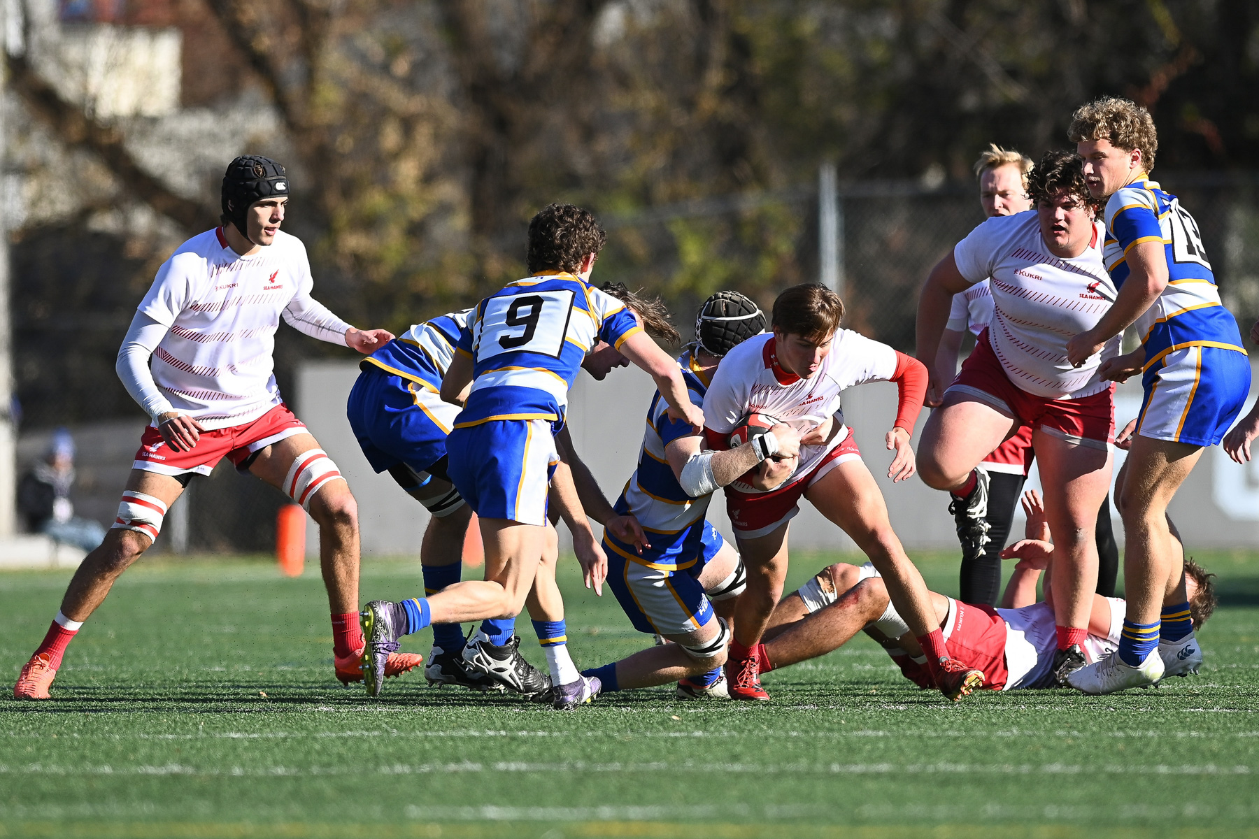  University of British Columbia Okanagan - Memorial University of Newfoundland - Rugby - CANUMENS 2024 - Consolation Semi - UBCO vs Memorial by Jeff Chan (#CANUMENS2405) Photo by: Jeff Chan | Siuxy Sports 2024-11-15