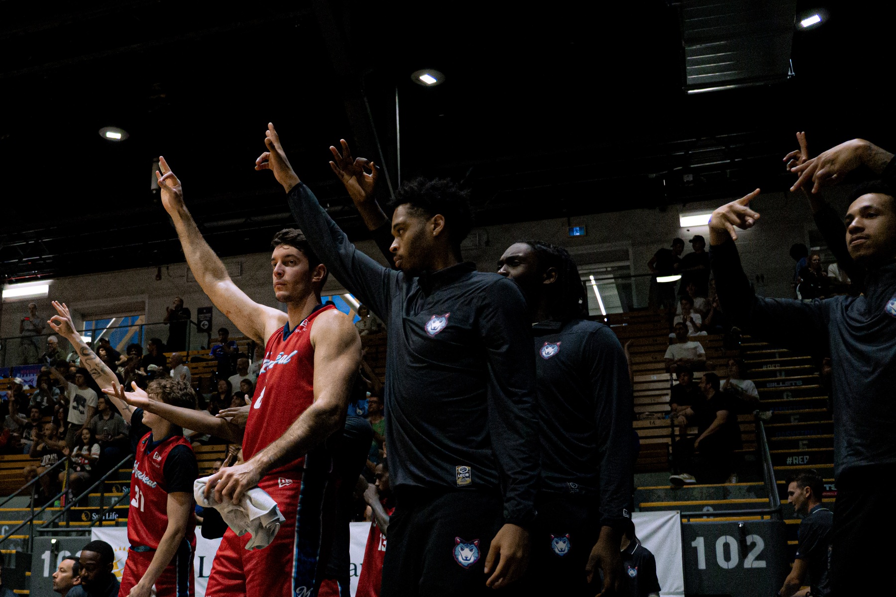 Tayshaun THOMAS -  Montreal - Brampton - Basketball - CEBL 2026 - Alliance Montréal vs Brampton Honey Badgers (#CEBL26AMBHB6) Photo by: m9 .pix | Siuxy Sports 2026-06-10