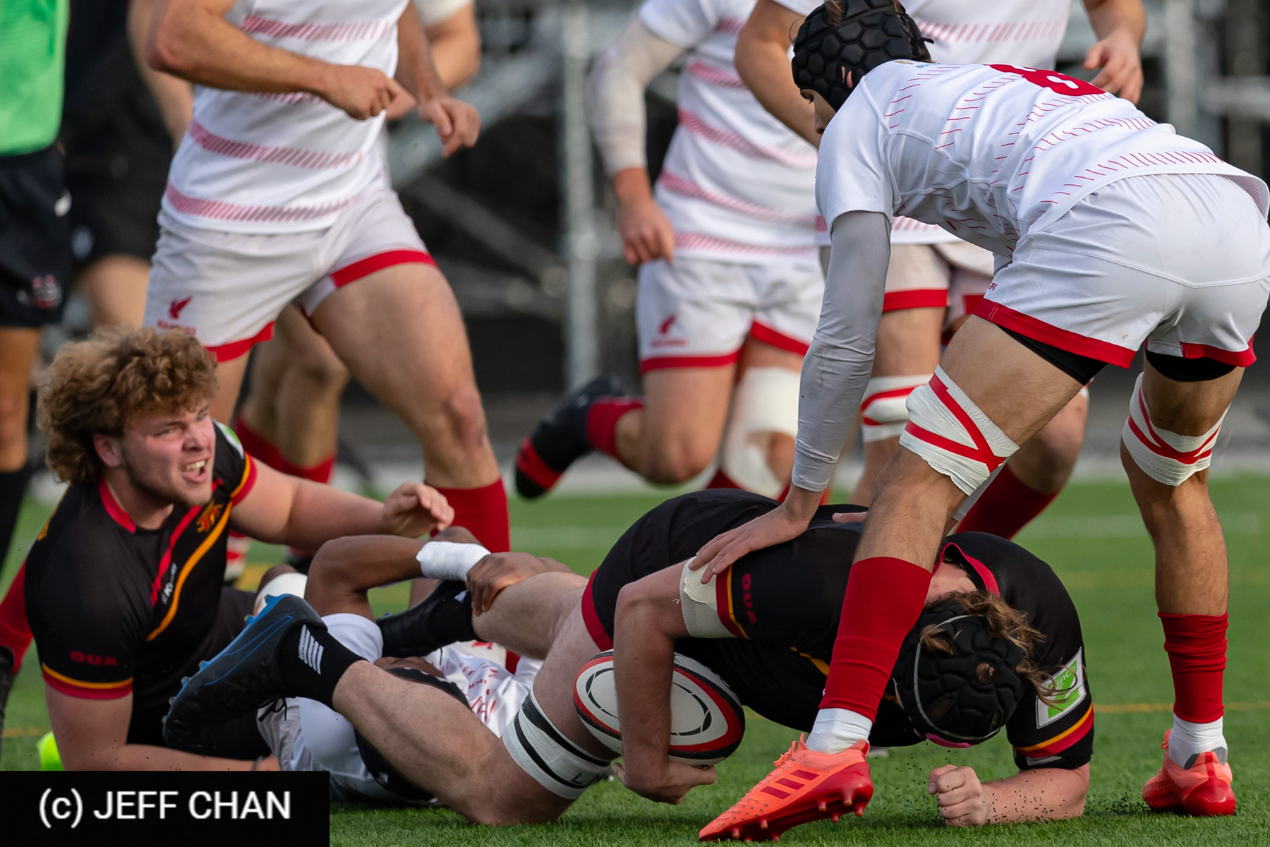  University of Guelph - Memorial University of Newfoundland - Rugby - CANUMENS 2023 - Bronze final - Guelph vs Memorial U by Jeff Chan (#CANUMENS2311) Photo by: Jeff Chan | Siuxy Sports 2023-11-19