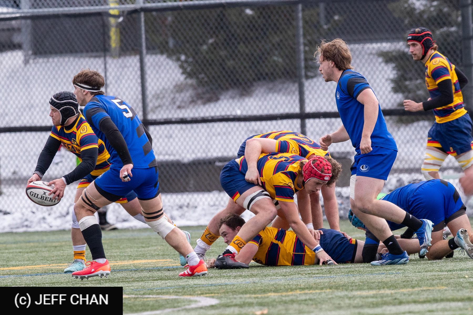  Université de Montréal - Queen's University - Rugby - CANUMENS 2025 - Université de Montréal vs Queen's University - Game#10 by Jeff Chan (#CANUMENS2560) Photo by: Jeff Chan | Siuxy Sports 2025-11-16