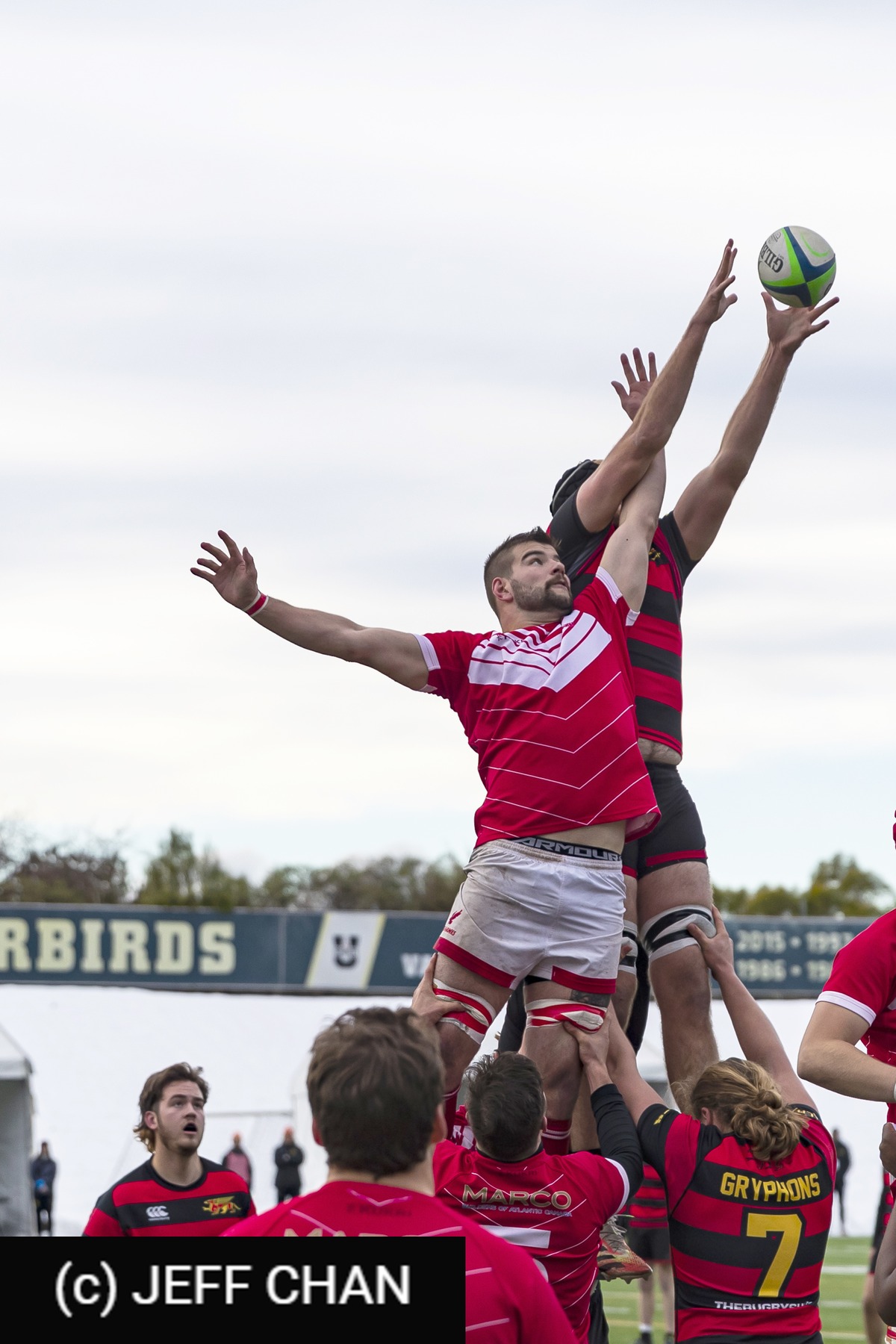  University of Guelph - Memorial University of Newfoundland - Rugby - CANUMENS 2022 - U Guelph vs Memorial U -  by Jeff Chan (#CANUMENS2203) Photo by: Jeff Chan | Siuxy Sports 2022-11-30