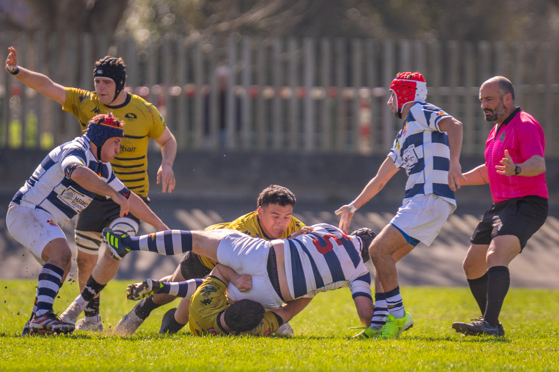  Getxo Artea Rugby Taldea - Soto del Real Rugby Club - Rugby - FER 2026 - Fase Ascenso a Liga Elite - Getxo vs Soto del Real (#FER26ALEGS3) Photo by: Fredy Monfoto | Siuxy Sports 2026-03-01