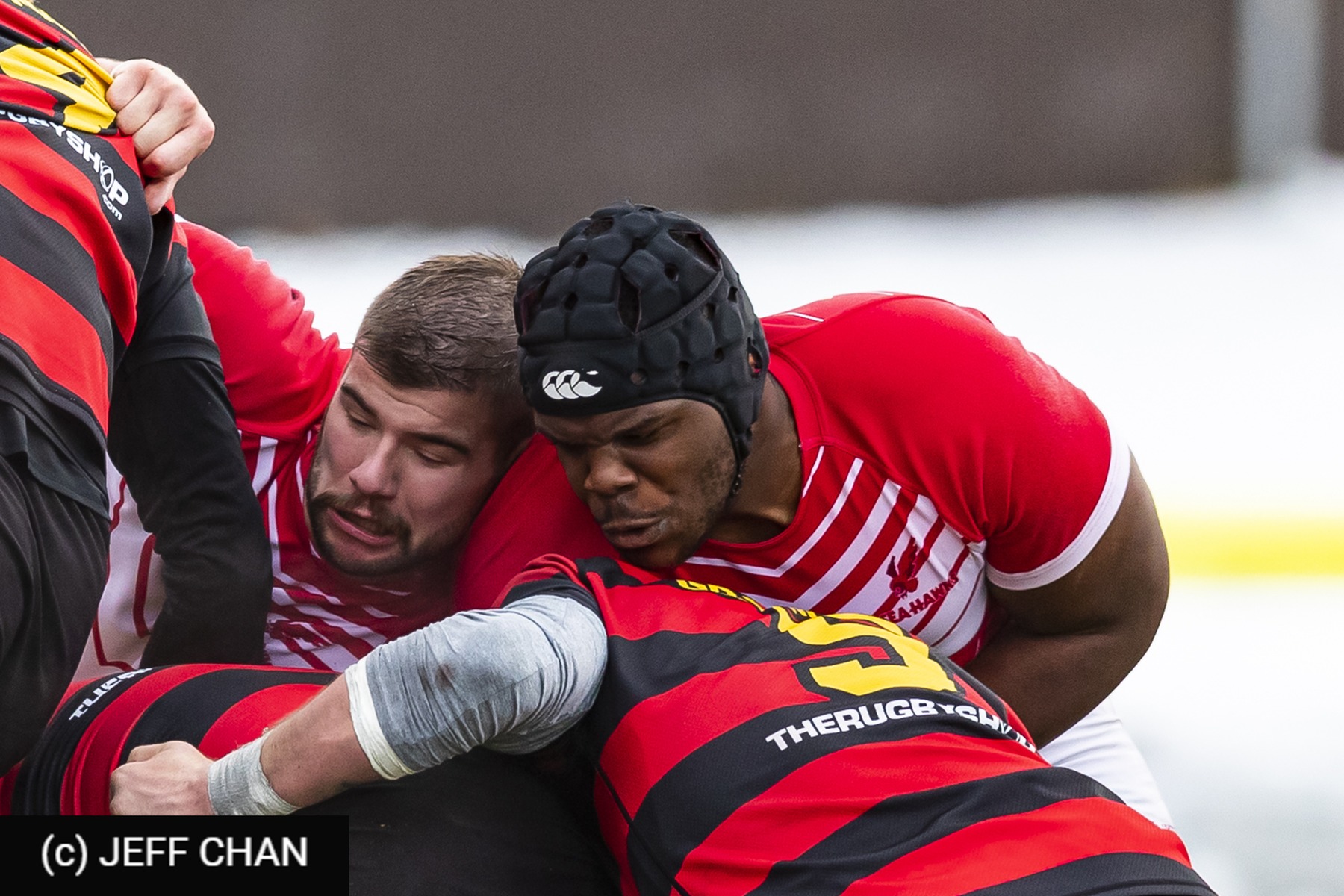  University of Guelph - Memorial University of Newfoundland - Rugby - CANUMENS 2022 - U Guelph vs Memorial U -  by Jeff Chan (#CANUMENS2203) Photo by: Jeff Chan | Siuxy Sports 2022-11-30