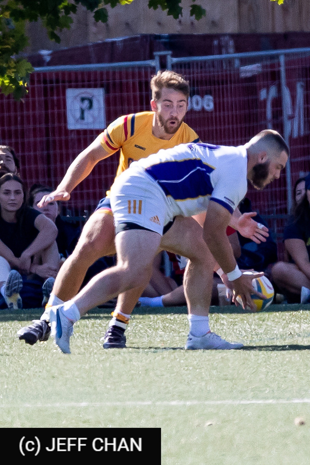  Queen's University - Wilfrid Laurier University - Rugby - OUA 2024 Queen's vs Laurier (#OUA24QULA10) Photo by: Jeff Chan | Siuxy Sports 2024-10-05