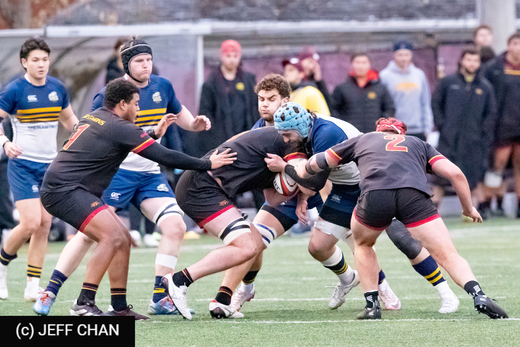 Liam KINGHORN - Joe MCNULTY - Stephen WEBB -  University of British Columbia - University of Guelph - Rugby - CANUMENS 2024 - Bronze - UBC vs Guelph by Jeff Chan (#CANUMENS2411) Photo by: Jeff Chan | Siuxy Sports 2024-11-17