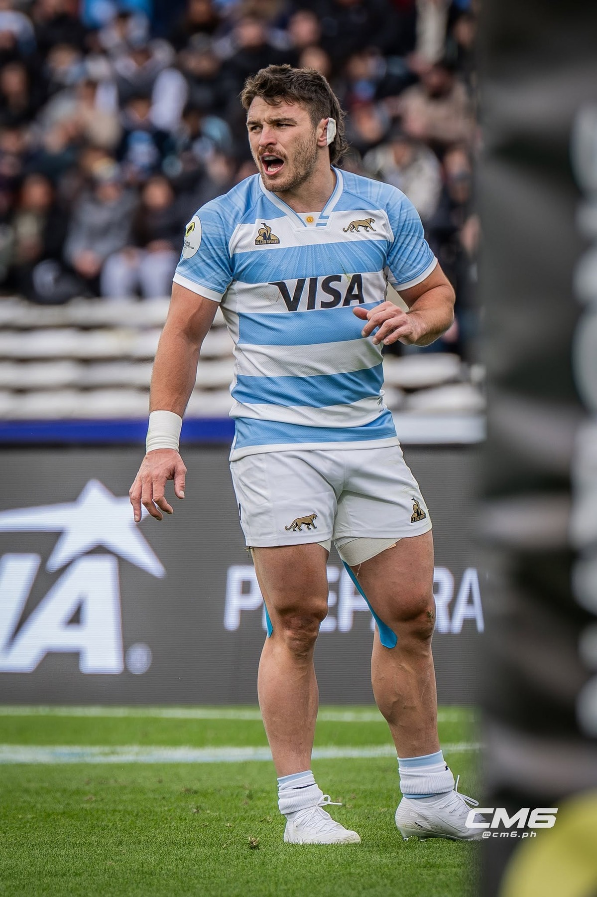  Selección Argentina de Rugby XV - Scotland national rugby union team - Rugby - Nations Championship 2026 - Argentina vs Escocia (#NC26ARSC1) Photo by: Christian Mas | Siuxy Sports 2026-07-04