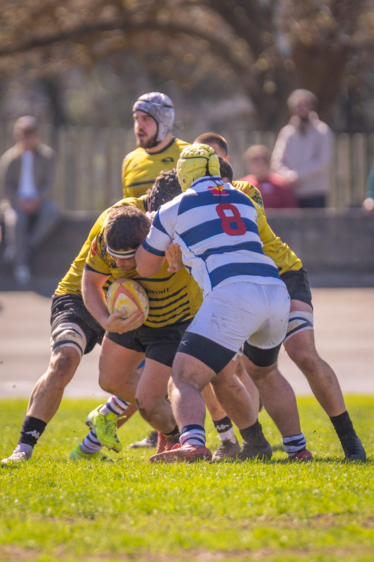  Getxo Artea Rugby Taldea - Soto del Real Rugby Club - Rugby - FER 2026 - Fase Ascenso a Liga Elite - Getxo vs Soto del Real (#FER26ALEGS3) Photo by: Fredy Monfoto | Siuxy Sports 2026-03-01