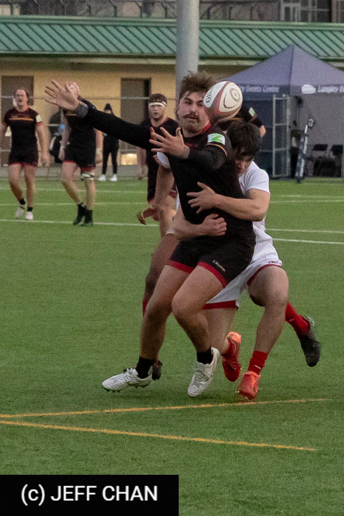  University of Guelph - Memorial University of Newfoundland - Rugby - CANUMENS 2023 - Bronze final - Guelph vs Memorial U by Jeff Chan (#CANUMENS2311) Photo by: Jeff Chan | Siuxy Sports 2023-11-19