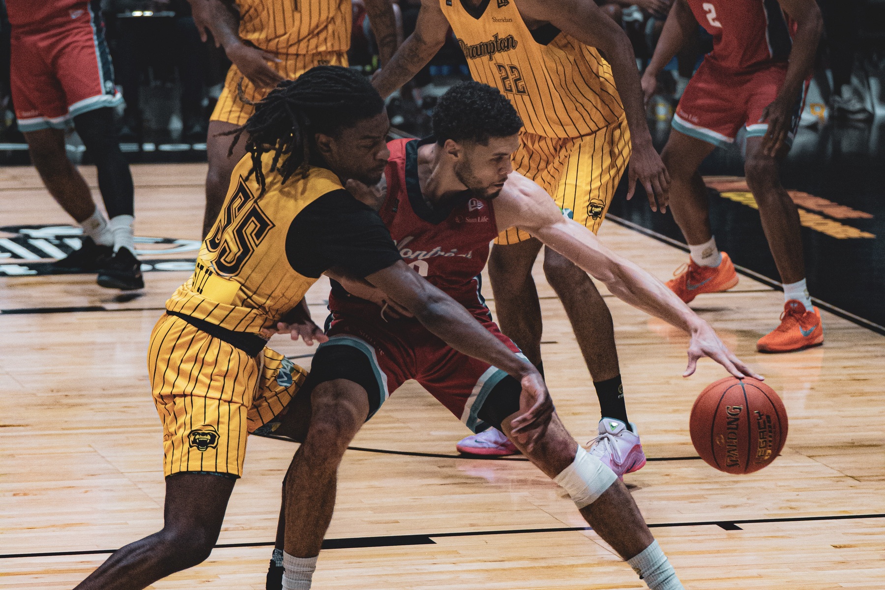  Montreal - Brampton - Basketball - CEBL 2026 - Alliance Montréal vs Brampton Honey Badgers (#CEBL26AMBHB6) Photo by: m9 .pix | Siuxy Sports 2026-06-10