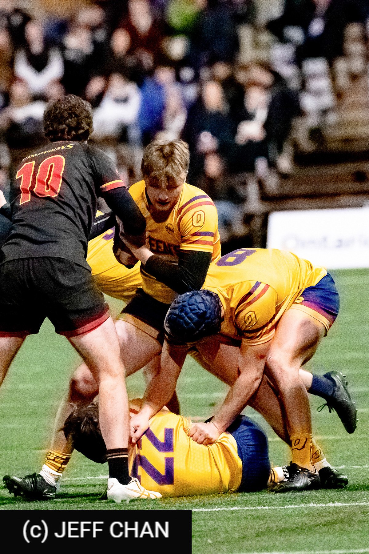  Queen's University - University of Guelph - Rugby - CANUMENS 2024 - Semi final - Queen's vs Guelph by Jeff Chan (#CANUMENS2408) Photo by: Jeff Chan | Siuxy Sports 2024-11-15