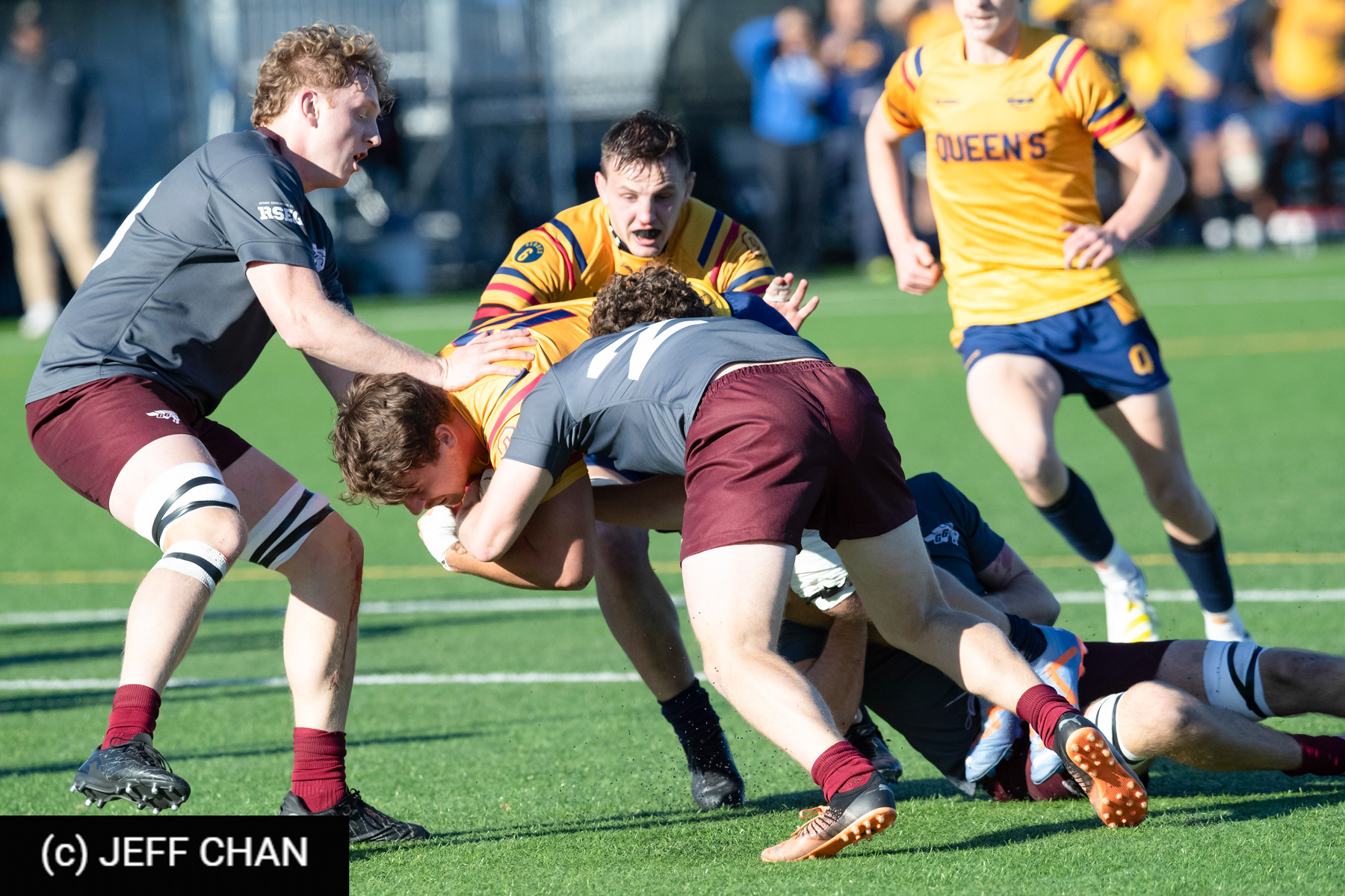 Alex PIPCHUK -  Queen's University - Université Ottawa - Rugby - CANUMENS 2023 - Semi final - Queen's vs U Ottawa by Jeff Chan (#CANUMENS2305) Photo by: Jeff Chan | Siuxy Sports 2023-11-17