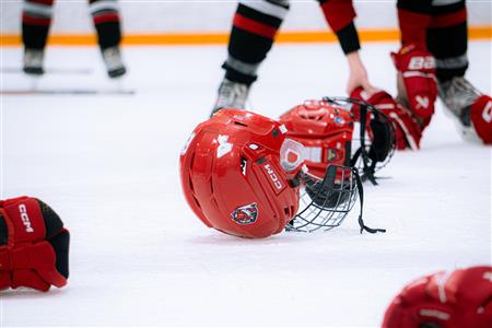 Ice Hockey by m9.pix