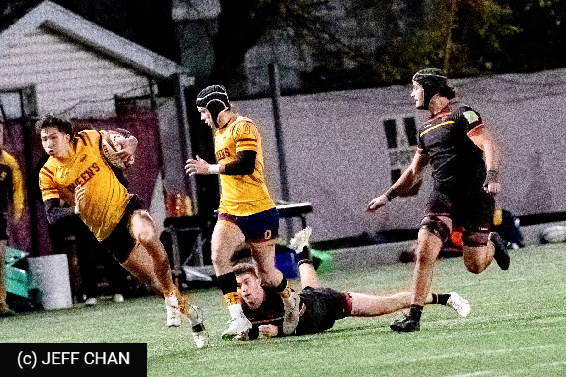  Queen's University - University of Guelph - Rugby - OUA 2024 Queen's vs Guelph (#OUA24QUG15) Photo by: Jeff Chan | Siuxy Sports 2024-11-15