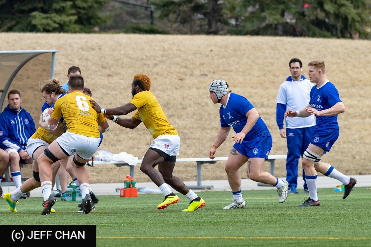  Toronto - NOLA Gold Rugby - Rugby - MLR 2019 Toronto Arrows vs NOLA Gold (#MLR19TONO04) Photo by: Jeff Chan | Siuxy Sports 2019-04-07