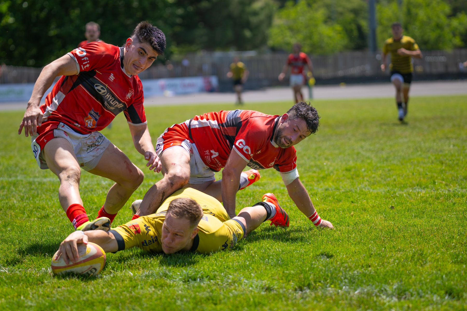  Getxo Artea Rugby Taldea - CAU Rugby Valencia - Rugby - FER 2026 - Getxo Rugby vs CAU Rugby Valencia (#FER26GRCAURV6) Photo by: Fredy Monfoto | Siuxy Sports 2026-06-07