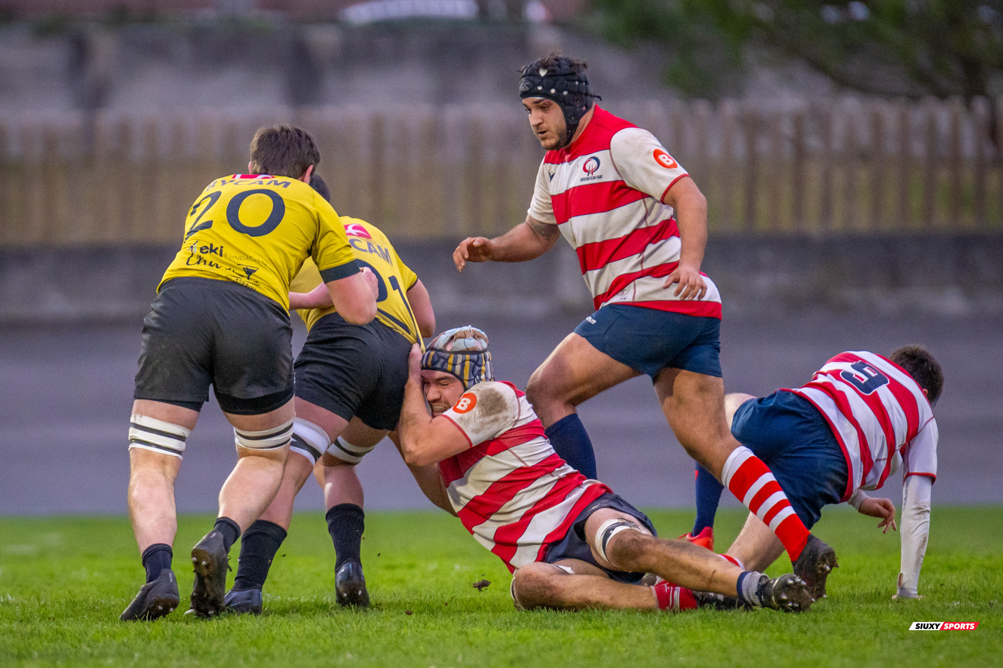  Getxo Artea Rugby Taldea - Universitario Bilbao Rugby - Rugby - FER 2026 - DHB Grupo A - Getxo Artea RT vs Universitario Bilbao Rugby (#FER26DHBAGUB2) Photo by: Fredy Monfoto | Siuxy Sports 2026-02-07