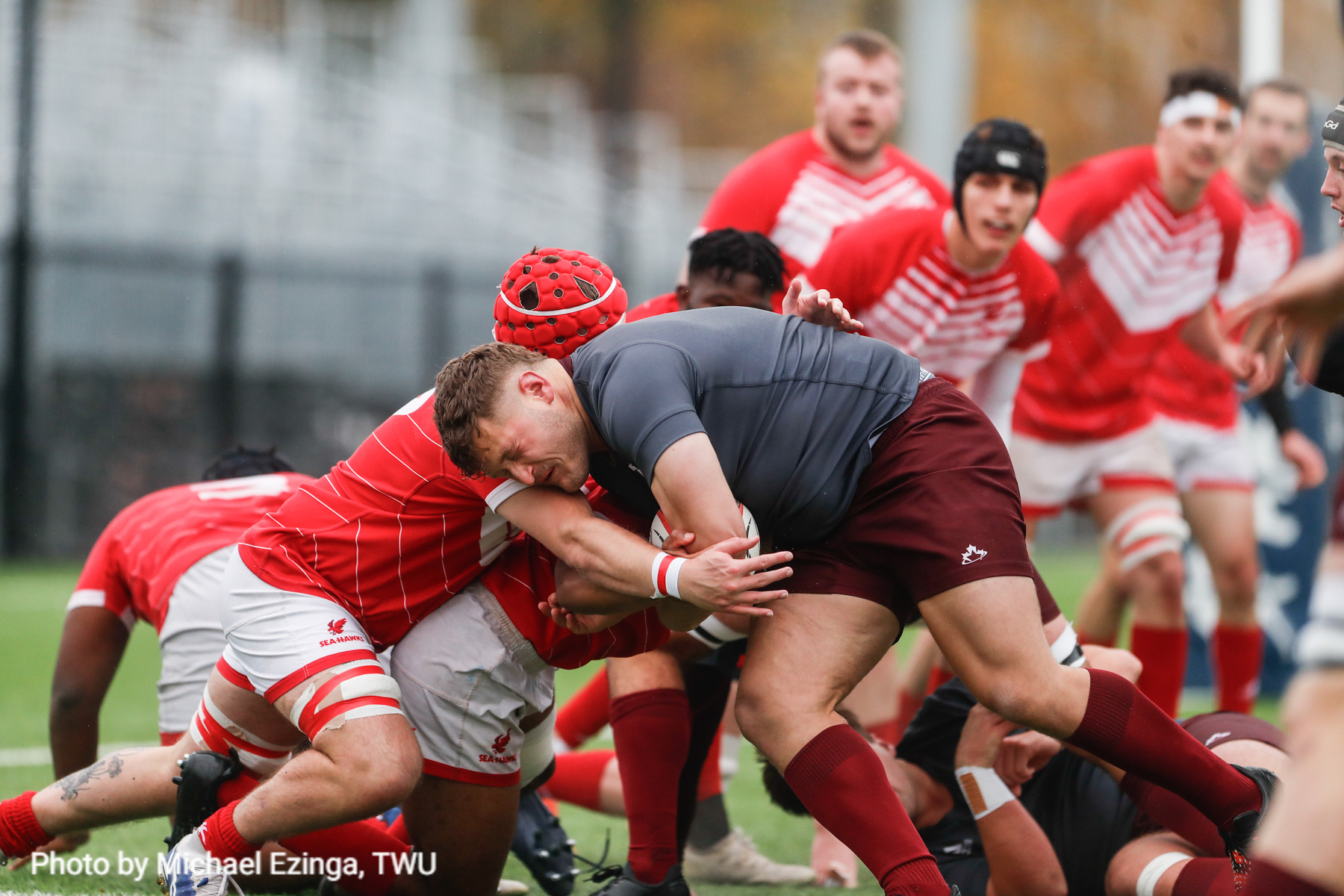  Memorial University of Newfoundland - Université Ottawa - Rugby - CANUMENS 2023 - Quarter final - Memorial vs U Ottawa by Jeff Chan (#CANUMENS2303) Photo by: Jeff Chan | Siuxy Sports 2023-11-15