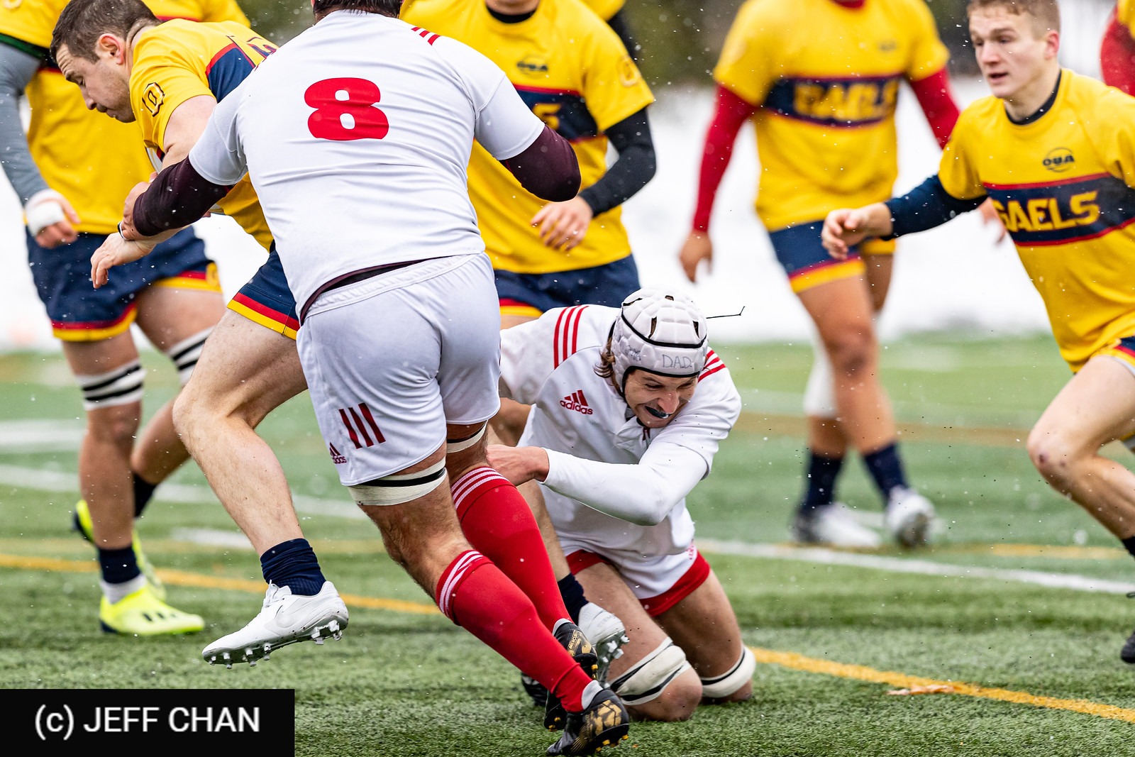 William CHEESEWRIGHT -  Queen's University - Université McGill - Rugby - CANUMENS 2019 - Queen's U vs McGill U - by Jeff Chan (#CANUMENS1903) Photo by: Jeff Chan | Siuxy Sports 2019-11-20