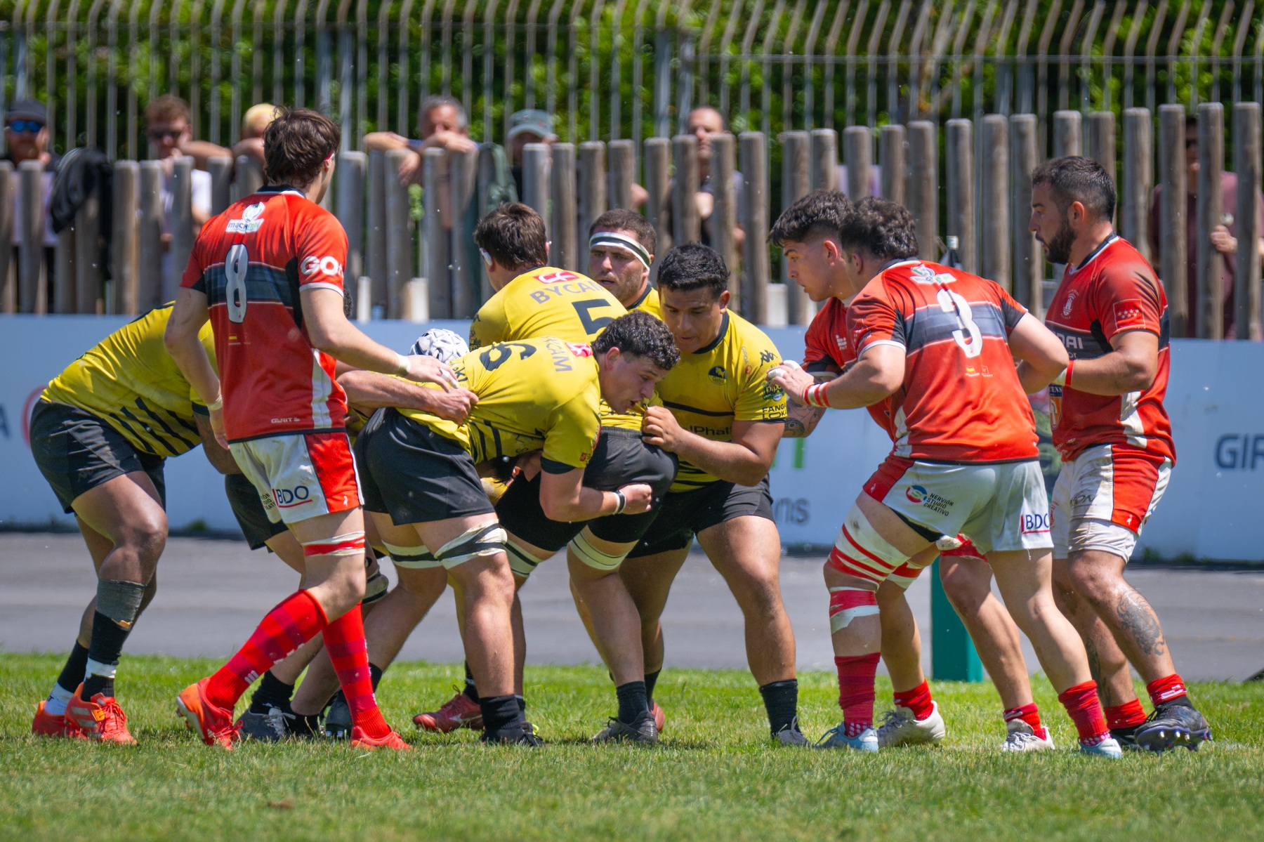  Getxo Artea Rugby Taldea - CAU Rugby Valencia - Rugby - FER 2026 - Getxo Rugby vs CAU Rugby Valencia (#FER26GRCAURV6) Photo by: Fredy Monfoto | Siuxy Sports 2026-06-07