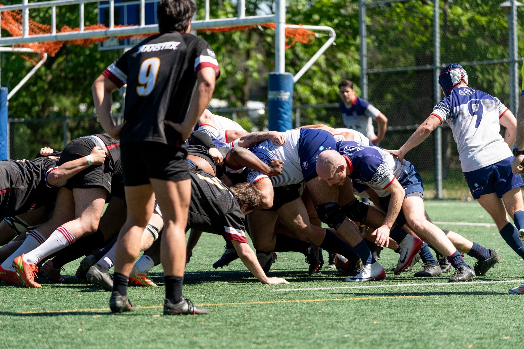  Rugby XV de Montréal - Westmount Rugby Club - Rugby - RQ 2026 - LP1R M - XV de Montréal vs Westmount (#RQ26LP1RXVMW) Photo by:  | Siuxy Sports 2026-05-30