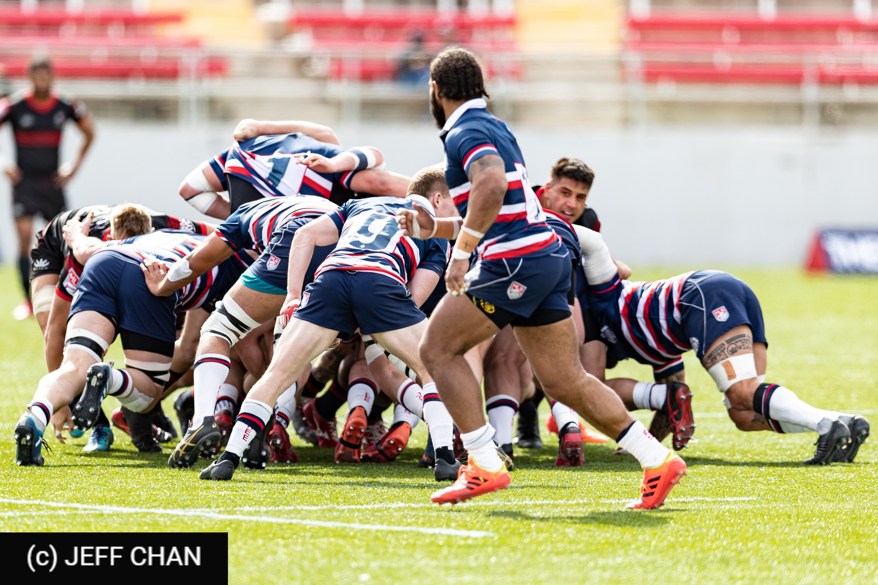  Utah - New England - Rugby - 2020 - Utah Warriors vs New England Free Jacks (#UWNEFJ2020) Photo by: Jeff Chan | Siuxy Sports 2020-02-15