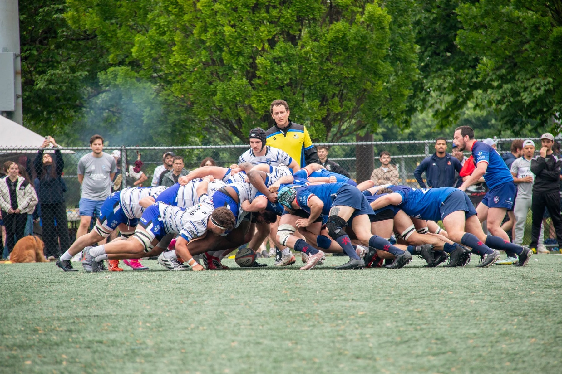  Rugby XV de Montréal - Parc Olympique Rugby - Rugby - RQ 2026 - LP1M 1ra - XV de Montreal vs Parc Olympique (#RQ26LP1M1XVMPO6) Photo by:  | Siuxy Sports 2026-06-06