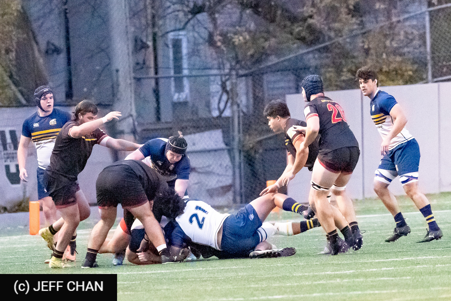  University of British Columbia - University of Guelph - Rugby - CANUMENS 2024 - Bronze - UBC vs Guelph by Jeff Chan (#CANUMENS2411) Photo by: Jeff Chan | Siuxy Sports 2024-11-17