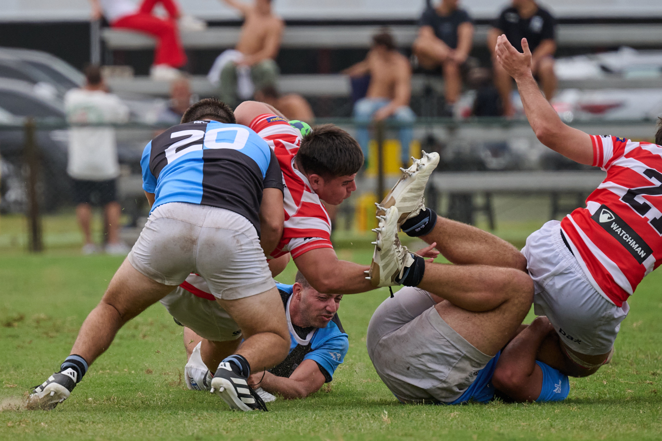  Asociación Alumni - Club Universitario de Buenos Aires - Rugby - URBA 2026 - PS ALUMNI vs Cuba (PreB-PreA-Inter) (#URBA26PSAC03) Photo by: Ximena Rebecchi | Siuxy Sports 2026-03-14
