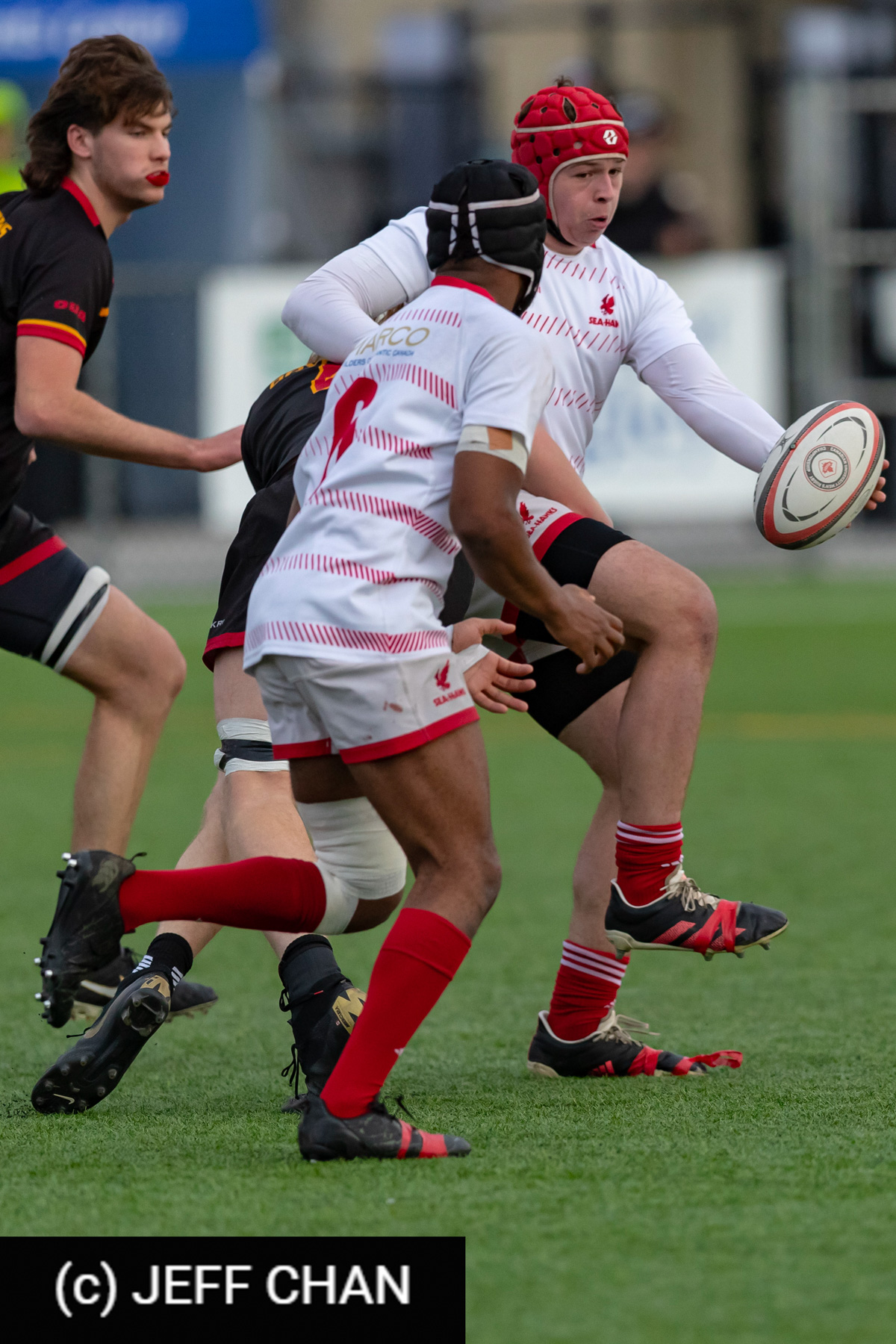 University of Guelph - Memorial University of Newfoundland - Rugby - CANUMENS 2023 - Bronze final - Guelph vs Memorial U by Jeff Chan (#CANUMENS2311) Photo by: Jeff Chan | Siuxy Sports 2023-11-19
