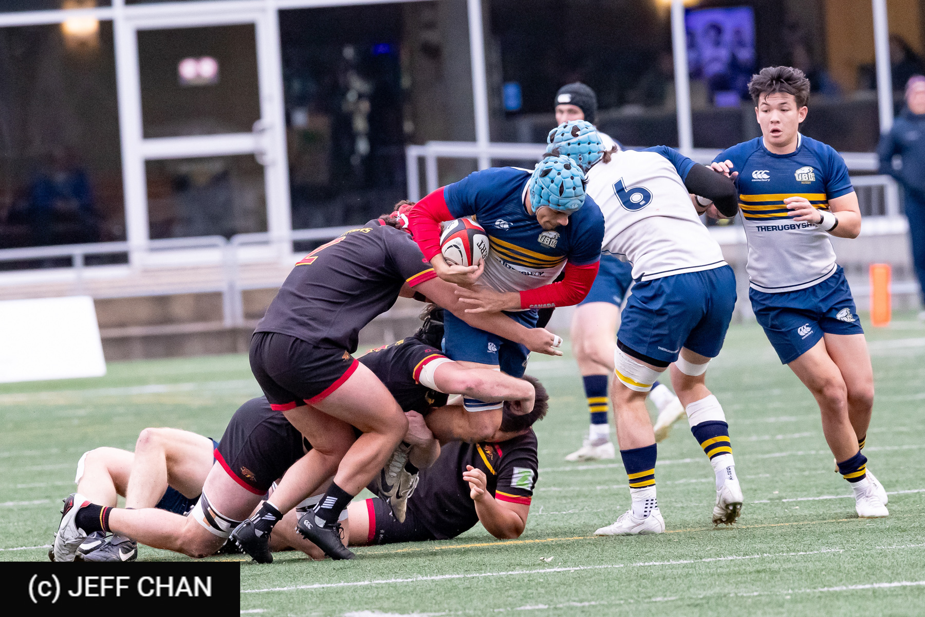 Stephen WEBB -  University of British Columbia - University of Guelph - Rugby - CANUMENS 2024 - Bronze - UBC vs Guelph by Jeff Chan (#CANUMENS2411) Photo by: Jeff Chan | Siuxy Sports 2024-11-17